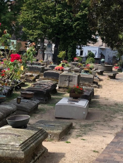 Friedhof St. Johannis